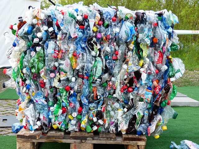 plastic bottle recycling